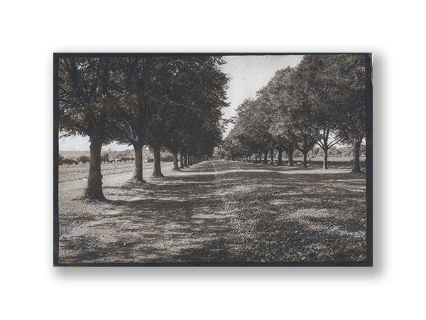 Platinum Print Hong Kong Palladium
