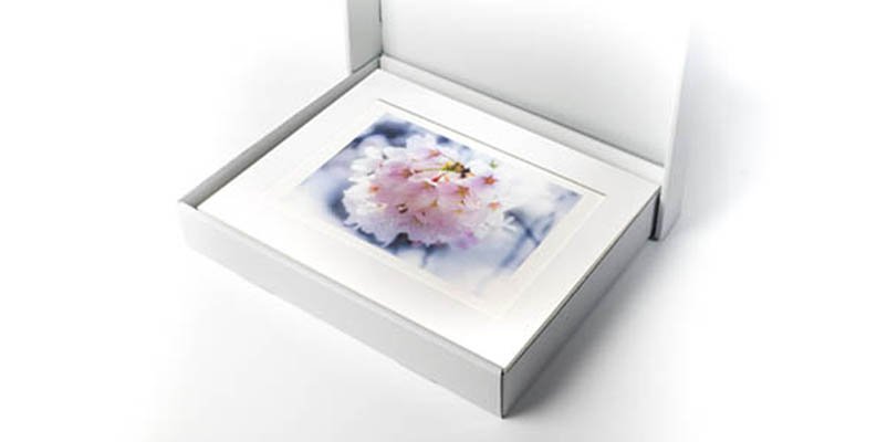 Photo print Archival Solution